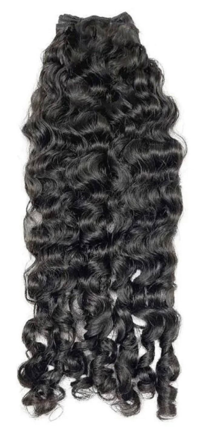 Burmese Curly